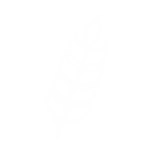 Gluten Icon